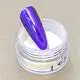Azmee Brand Chameleon Nail Powder 10colors 2g N.W. 8