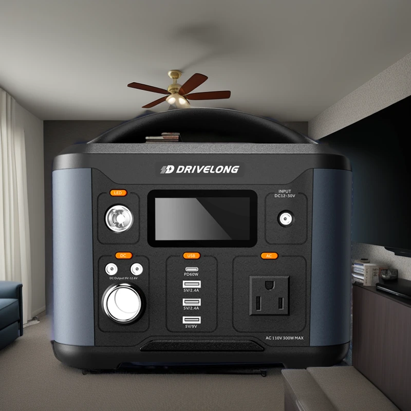300 Watt Power Station MSDS by Wepolink 2