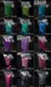 Wholesale Best Biodegradable Glitter Azmee Brand 8