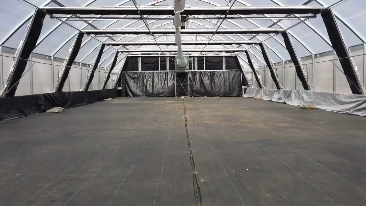 stocked 10x10m blackout mushroom hothouse simple light deprivation hemp tunnel greenhouse for sale 1