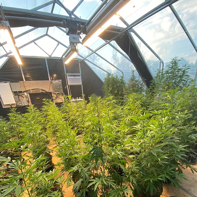 Automated Light Deprivation System by Skyplant-1 6