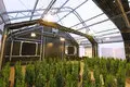 Greenhouse with Blackout System by Skyplant-1 5