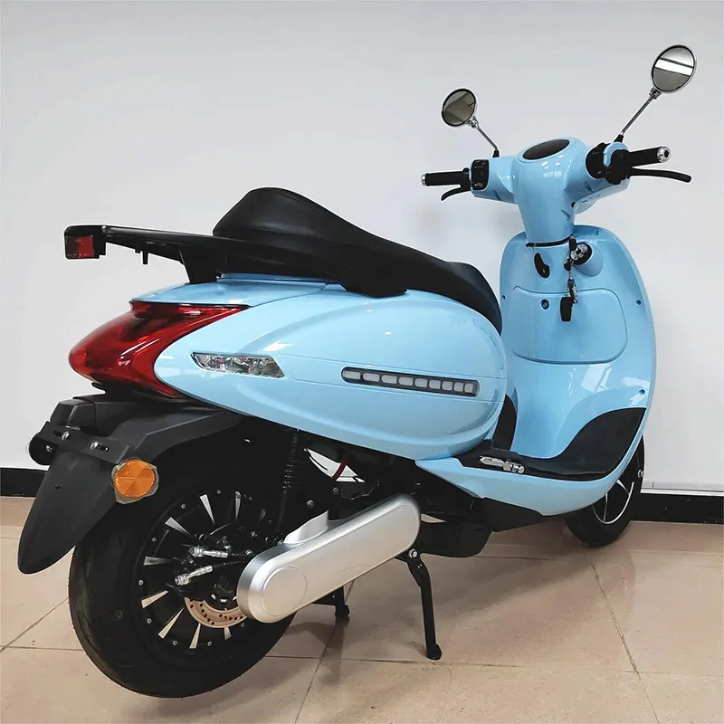 Custom Custom E Motorcycle MOTOMAXXIS Manufacture 5