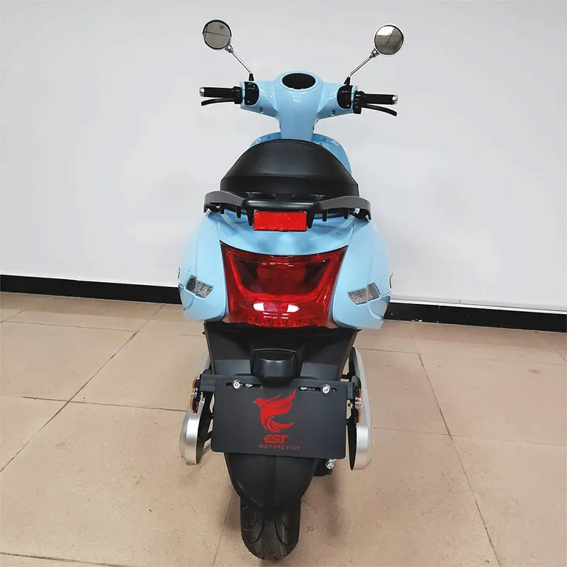 Custom Custom E Motorcycle MOTOMAXXIS Manufacture 6