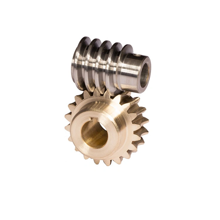 Round Double Enveloping Worm Gear 1