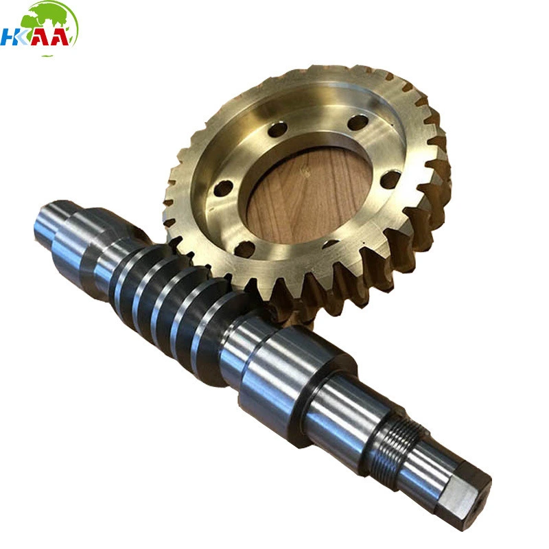 Stainless Steel Worm Drive Gear and Brass Transmission Spur Gear 1