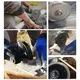 Johnsontools | Newest Ceramic Tile Cutter Disc Supplier 5