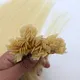 Custom Hair Extensions SC Hair Extensions Brand 8