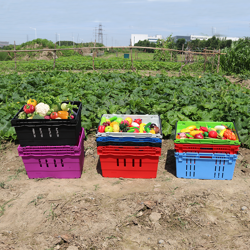Hoogwaardige logistieke opvouwbare kratdoos, fruit opvouwbare groente plastic krat 6420 7