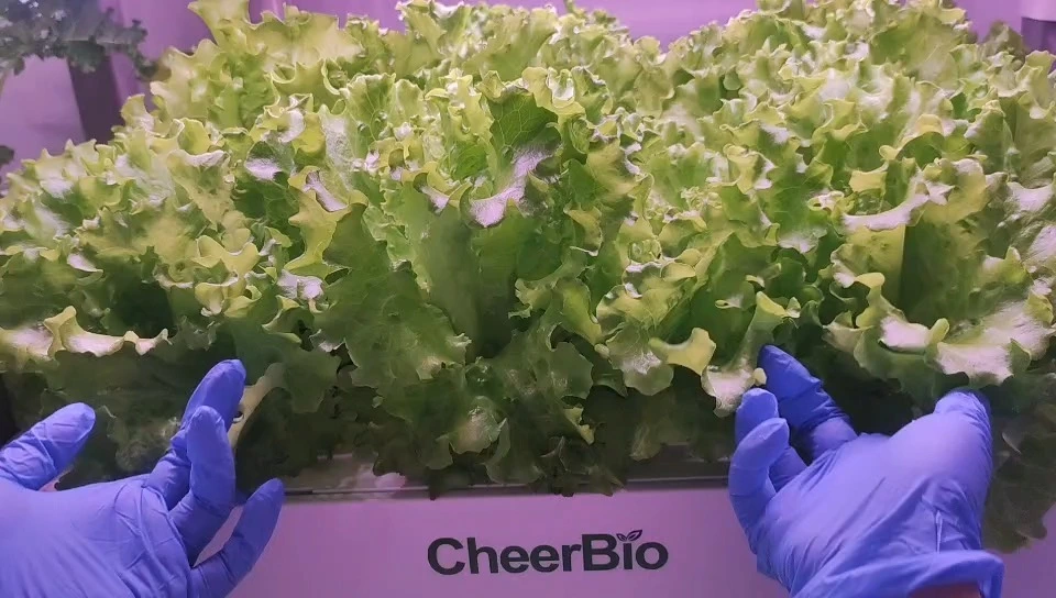 Smart Vegetable Grower: Effortless Indoor Gardening 1