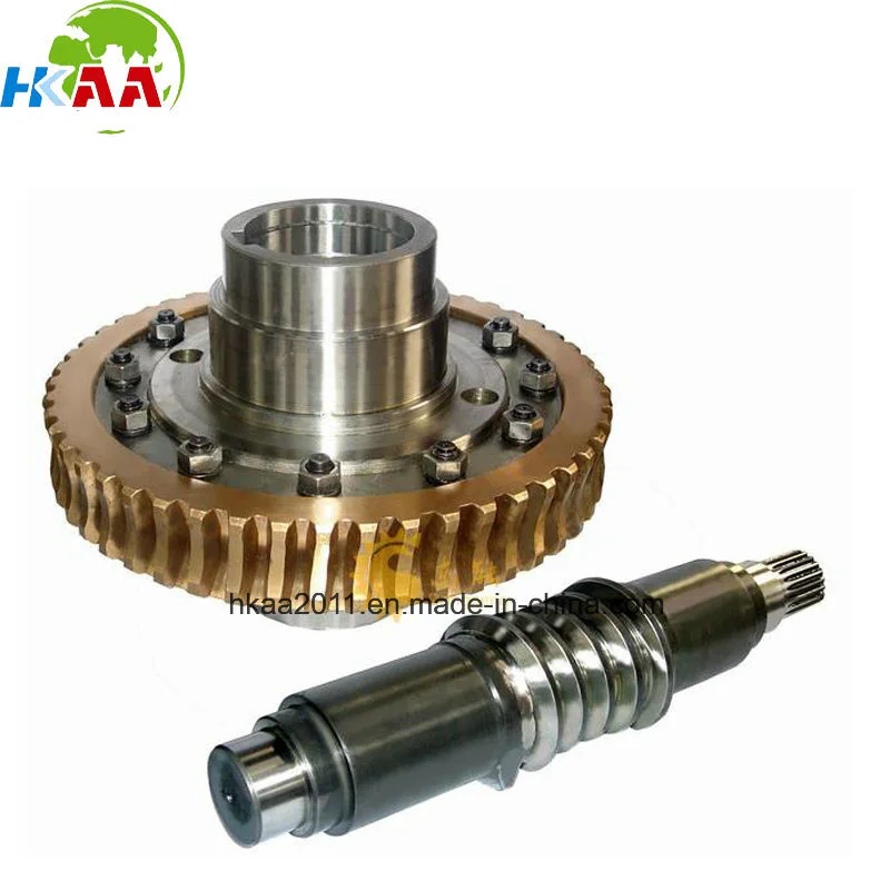 Precision Custom Stainless Steel/Brass Small Worm Gear 1