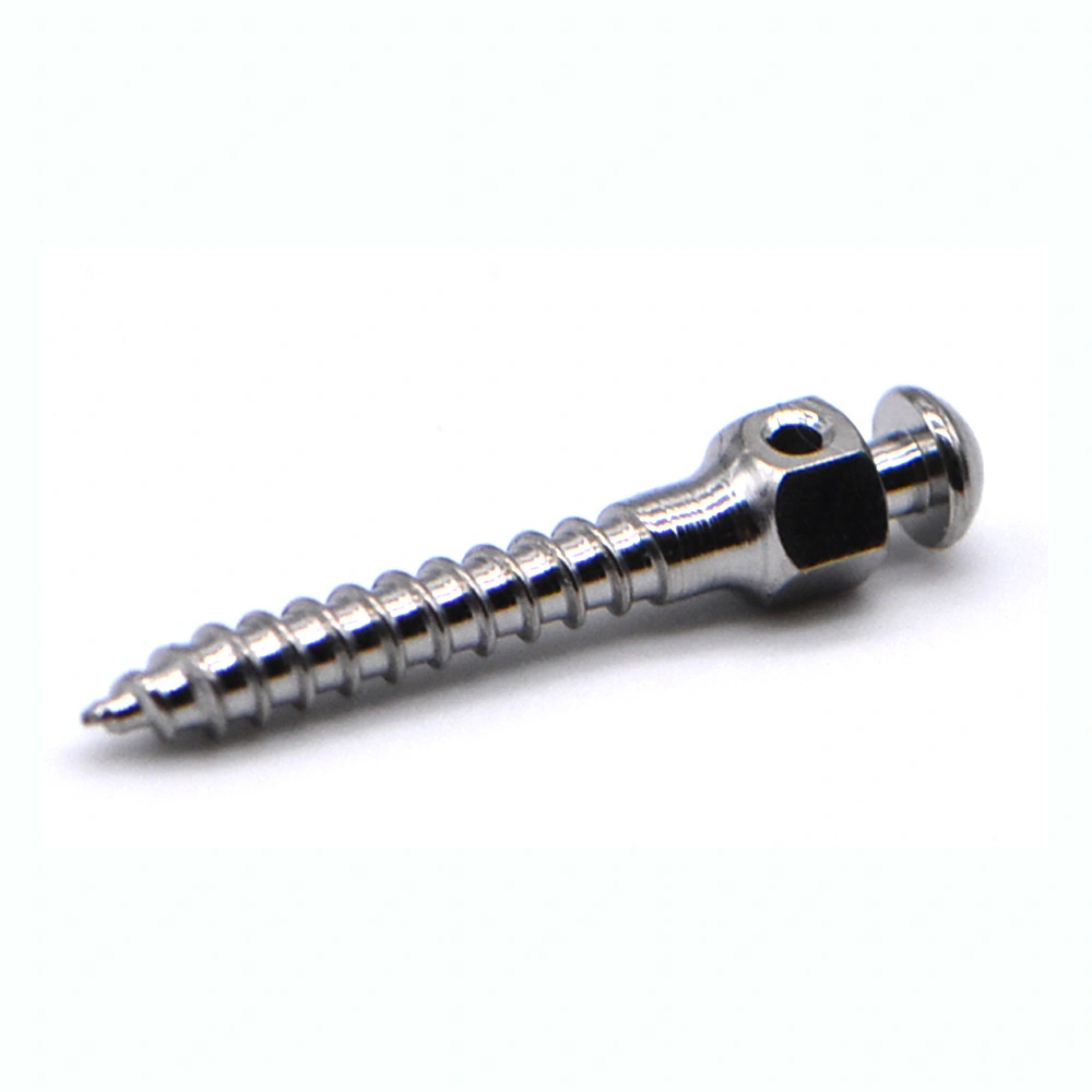 High Precision Machined Hex Socket Titanium Dental Implants Screw 1