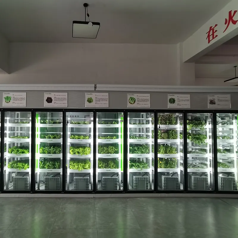 The Newest Vertical Hydroponic Planting Rack Can Be Superimposed Comes Out with a Bang! 1