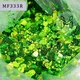 Nhà sản xuất đồ làm móng SGS của Azmee 2