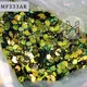 Nhà sản xuất đồ làm móng SGS của Azmee 7