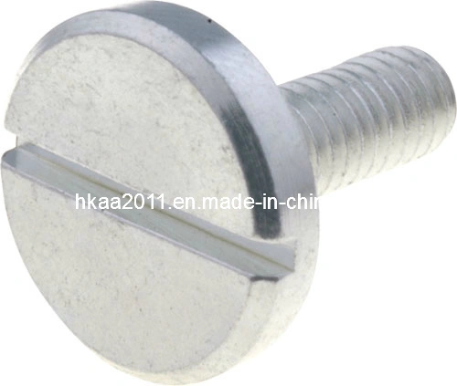 Stainless Steel Machined Decorative Mirror Head Screw 1