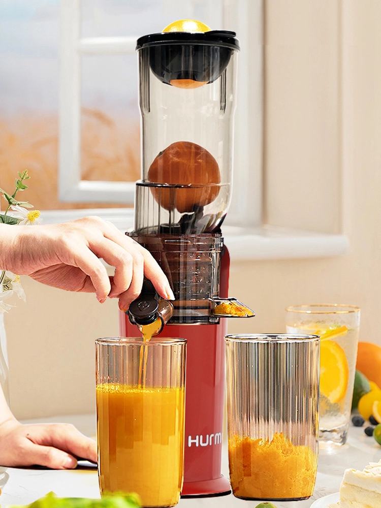 Big mouth masticating slow juicer 80A 1