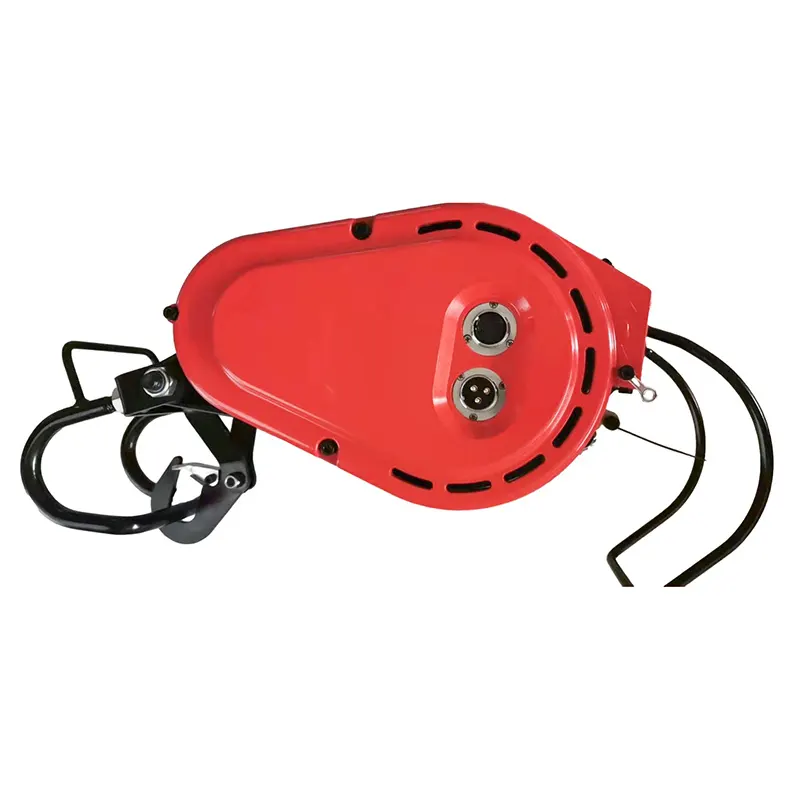 Electric Crane Hoist with Custom Services for Workplace 2