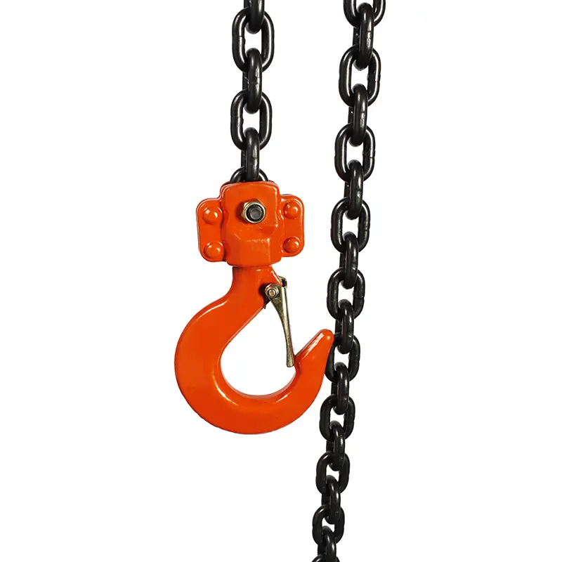 Worldwide Manual Chain Hoist Company for Business 4