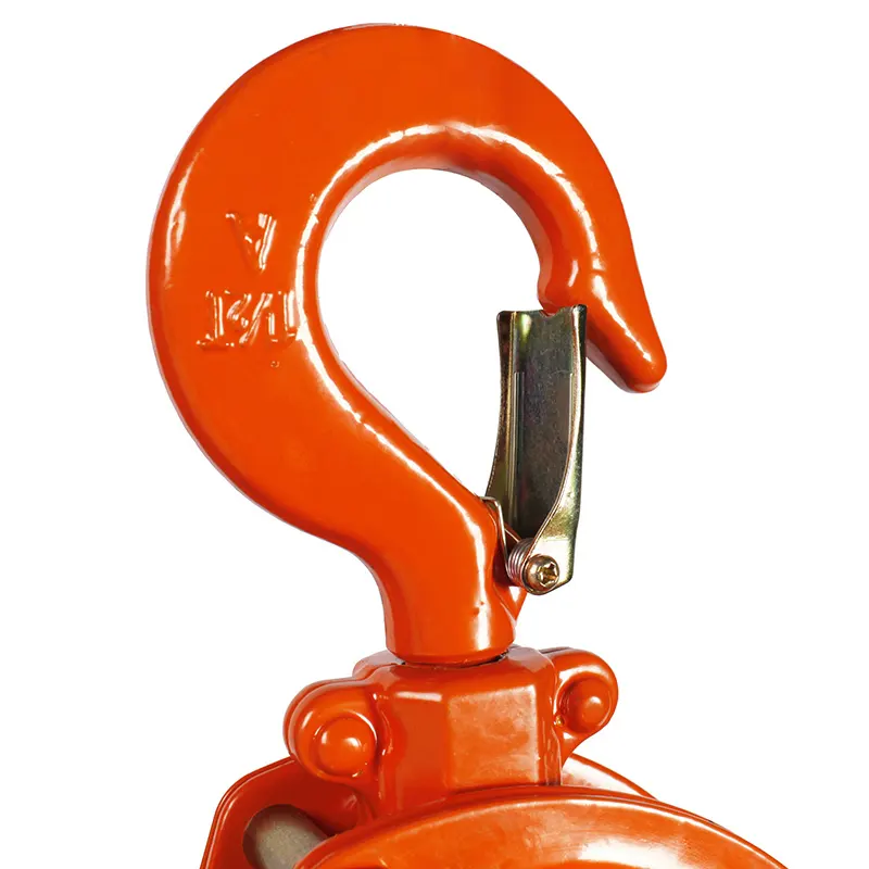 Worldwide Manual Chain Hoist Company for Business 3
