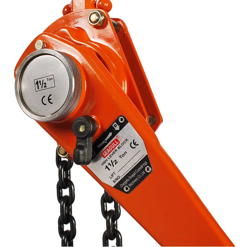 Worldwide Manual Chain Hoist Company for Business 2