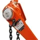 Worldwide Manual Chain Hoist Company for Business 2