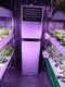 Hydroponic Growth Solution - - Skyplant 3