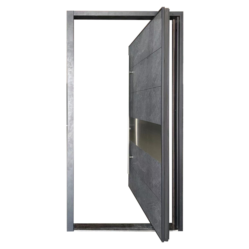 Modern Functional Steel Pivot Door 4