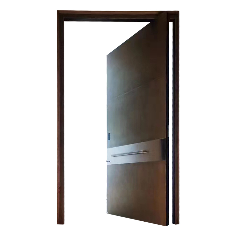 Modern Functional Steel Pivot Door 3