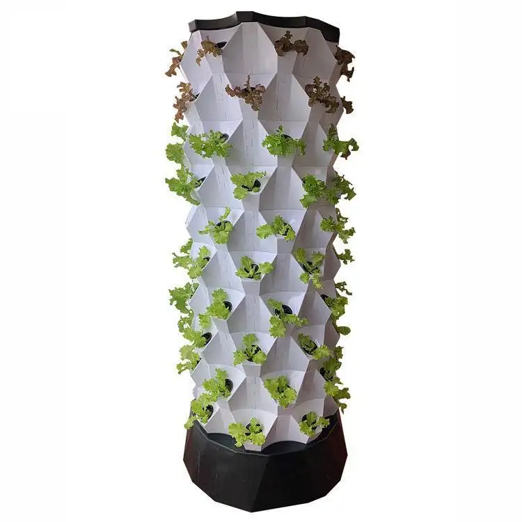 Hydroponic Growth Systems by Skyplant 2