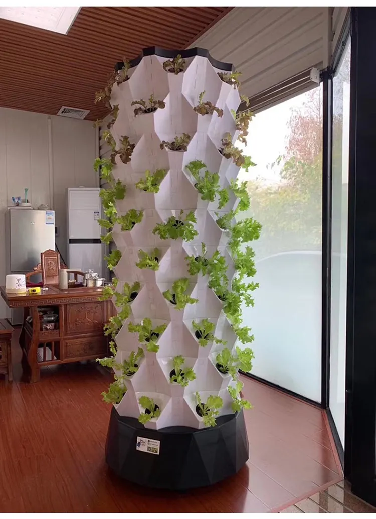Hydroponic Growth Systems by Skyplant 4