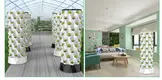 Hydroponic Growth Solution by Skyplant-1 6