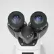HONYU Scanning Electron Microscope Suppliers Scanning Electron Microscope Supplierslatest Design 6