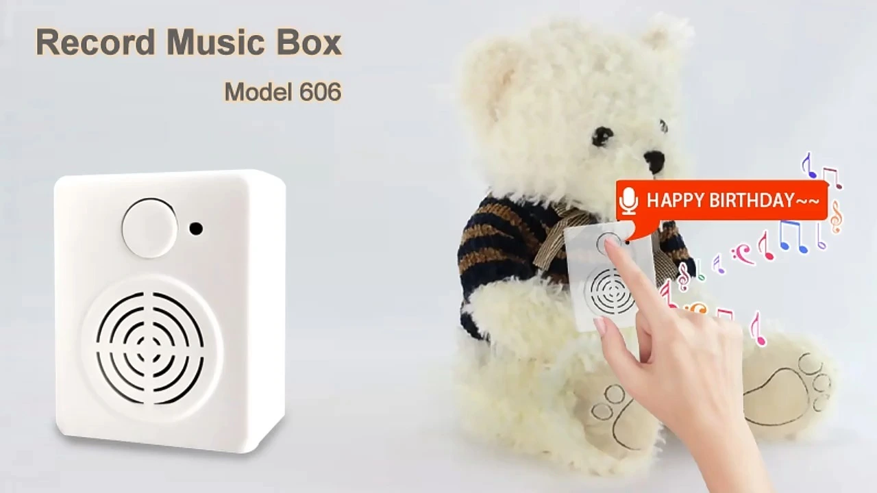 DIY Record Music Sound Box with Micro USB Port 1