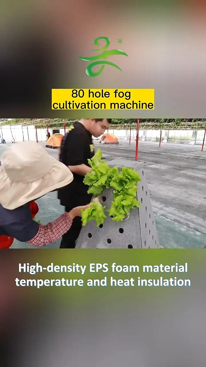 Pyramid hydroponics 1