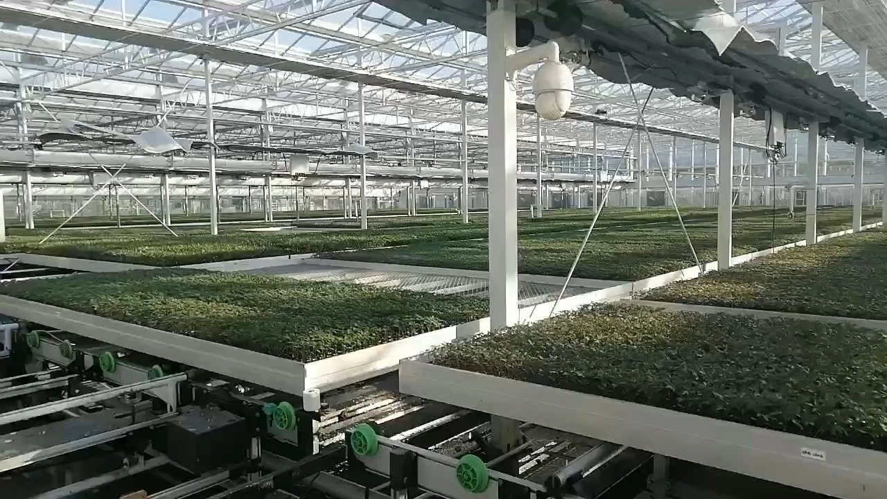 Customized Flood Tray Tables Ebb And Flow Rolling Bench Outdoor Hydroponics Greenhouse Vertical Growing Rack System 1