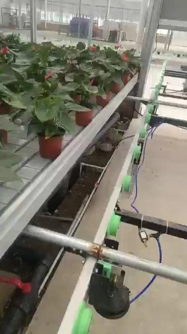 Planting bed 1
