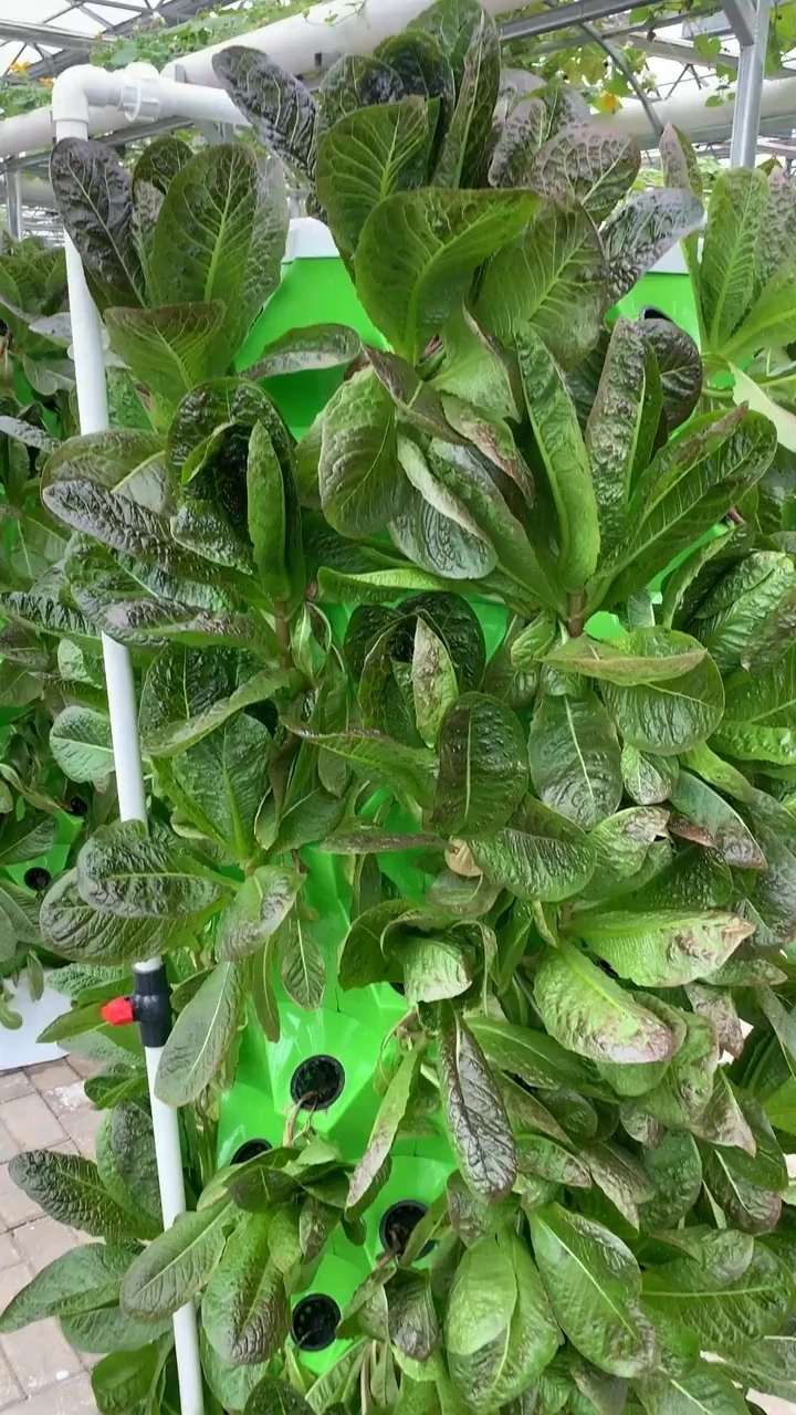 Hydroponic tower system 1