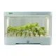 Smart Hydroponic Planter - - Skyplant 4