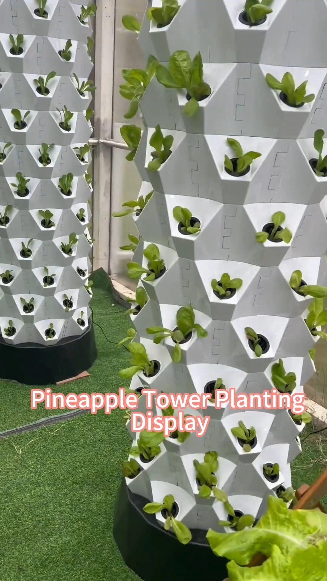 Plant Vertical Tower Growing Systems Column Hydroponic Aeroponic Planting System Hydroponic Greenhouse Indoor White Technology 1