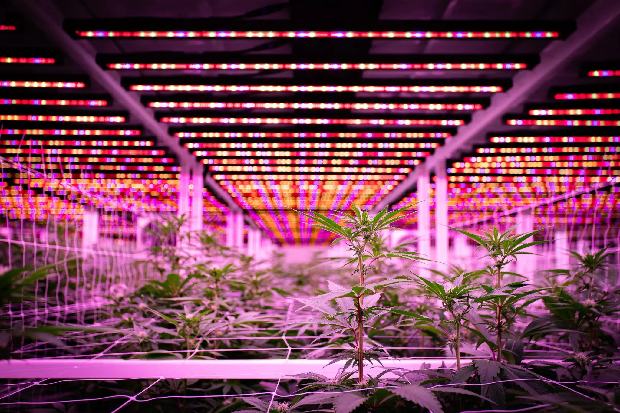 Best Portable Ac for Grow Room by Skyplant 11