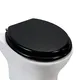 Mdf Toilet Seat Reviews - - Fanmitrk-4 3
