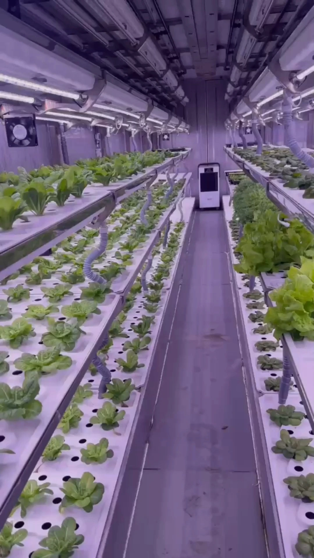 Indoor hydroponics commercial microgreen growing system hydroponics plant system greenhouse hydroponics container Farm 1