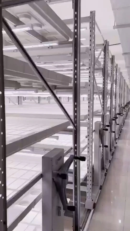 shipping container farm with hydroponic vertical system for vegetable growing container 1