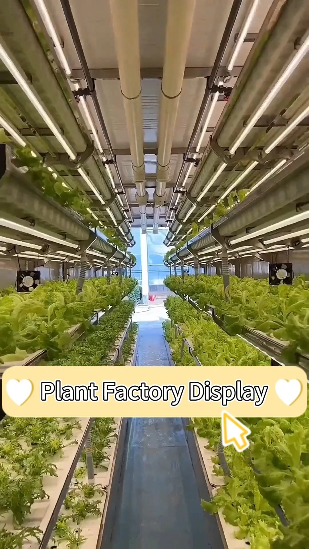 Grow Table Agricultural Nursery Two Tier Vertical Farming Mobile Vertical Grow Rack Systems 1