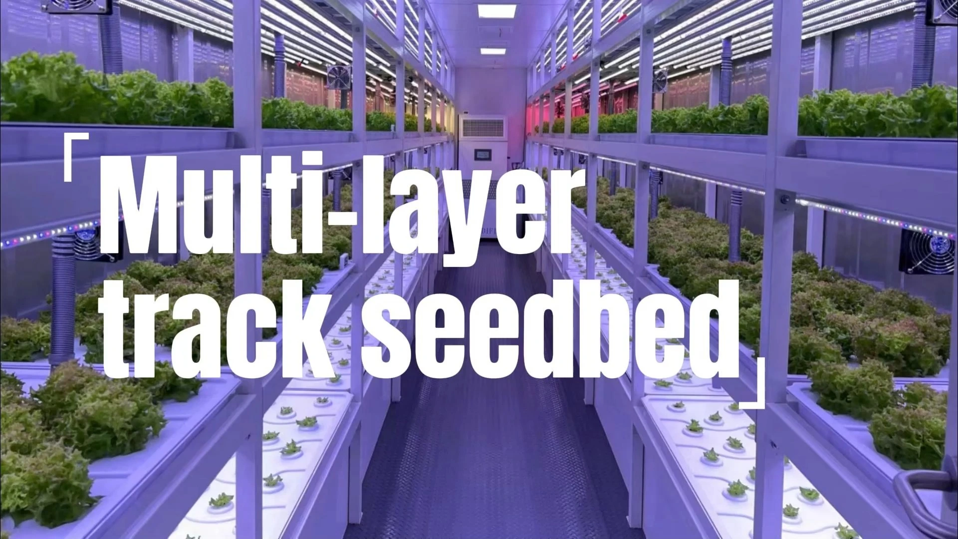 Stable Structure Easily Assembled Commercial Industrial Rolling Vertical Grow Rack 1