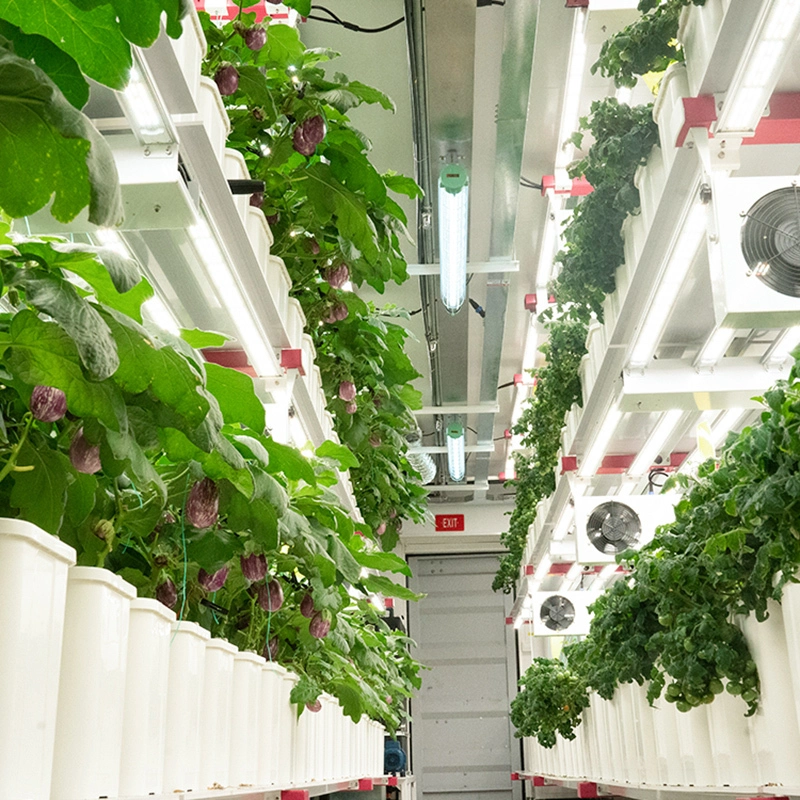 Turnkey Solutions Controlled Indoor Environment Grow Room Complete System for Vertical Grow Racks 1