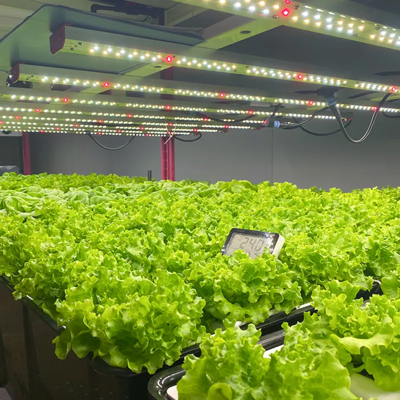 Vertical Grow Rack System by Skyplant 4