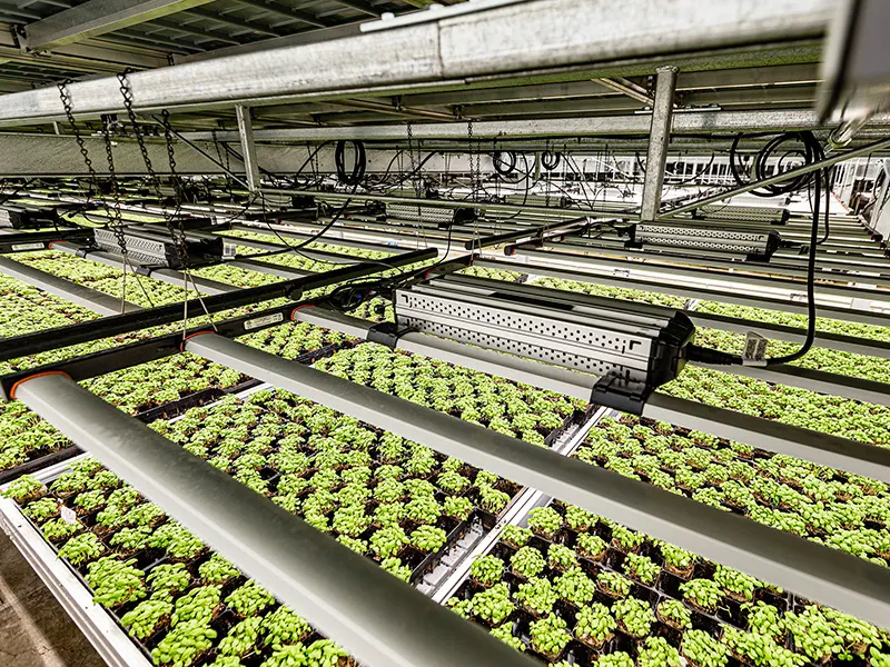 Commercial Grow Room Air Conditioner by Skyplant 6