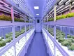 Environmental Controller for Grow Tent by Skyplant 8
